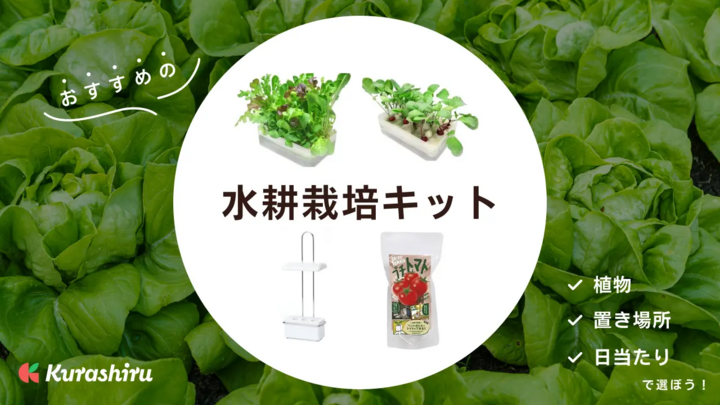 https://assets.hikaku-api.kurashiru.com/production/article/01HB14AHF3YHSYYNEJ34RNJY35/w1280_1696410187.webp