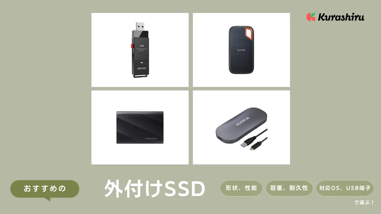 SanDisk 1TB 外付けSSD USBケーブル付き SanDisk Portable SSD 1TB USB